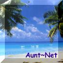 Aunt~Net square