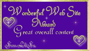 LilFaes Wonderful Web Site Award
