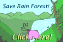The Rain Forest Logo